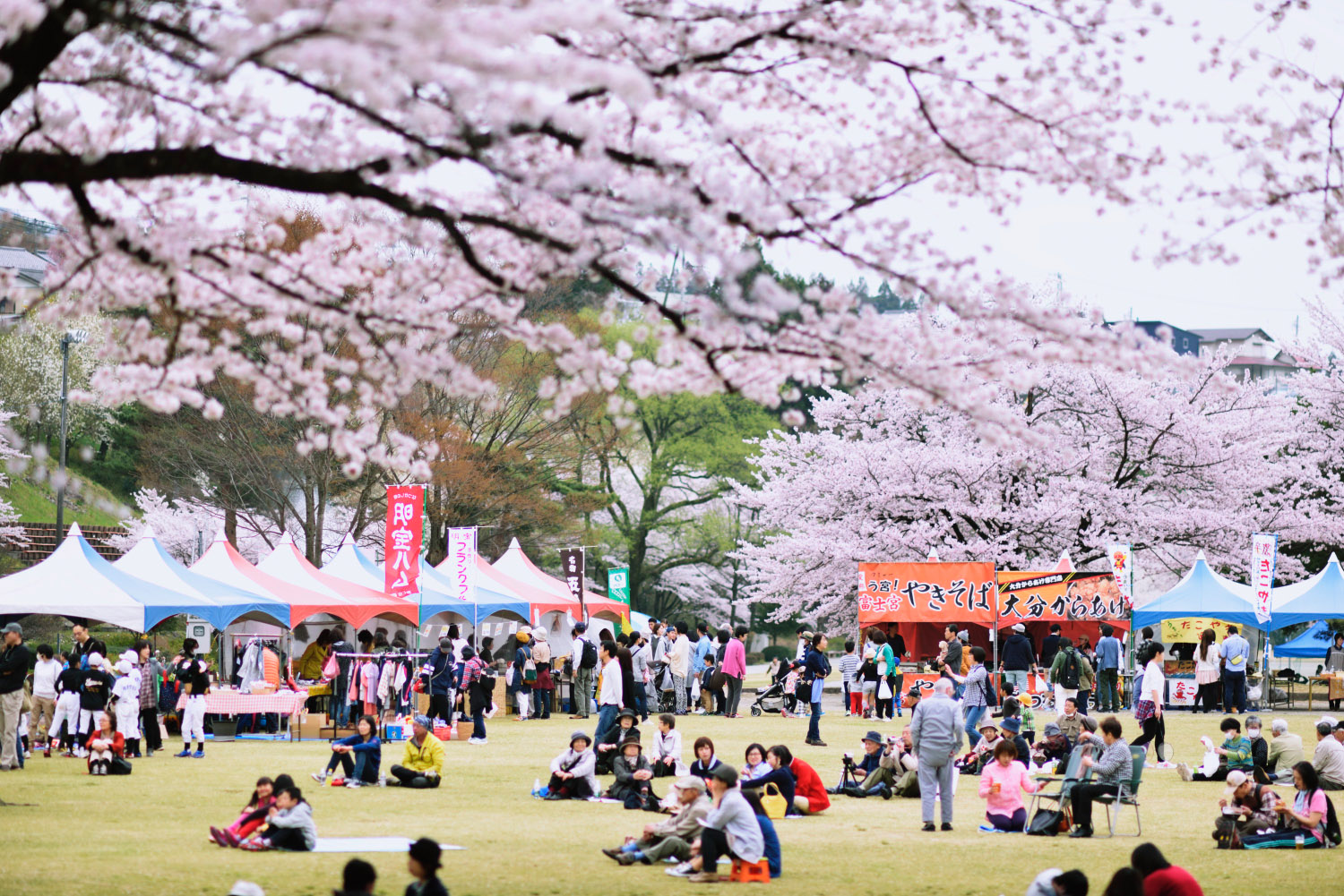 飛騨はぎわら桜まつり 岐阜県下呂市のおいしい新発見